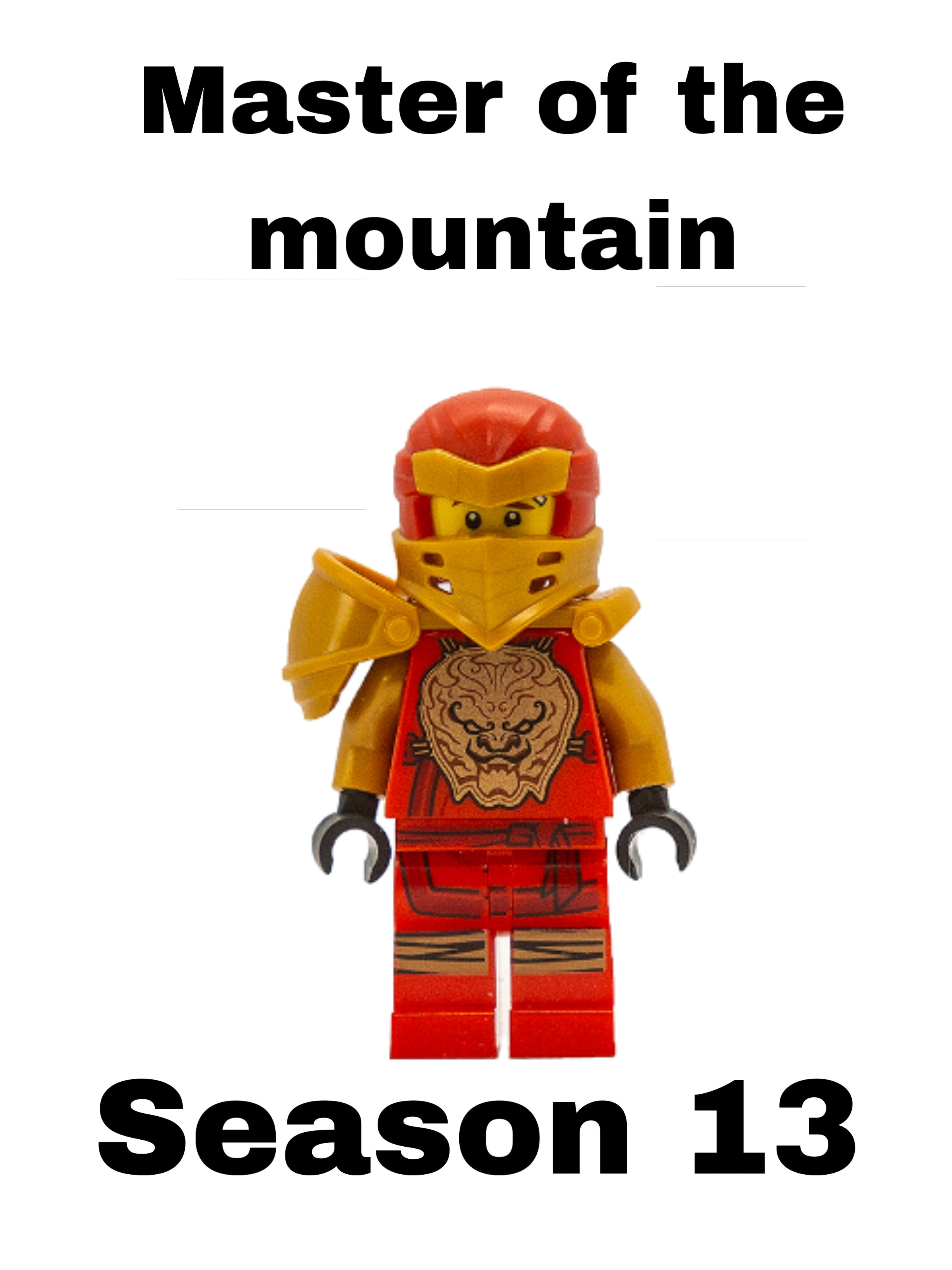 Master of the mountain minifigures