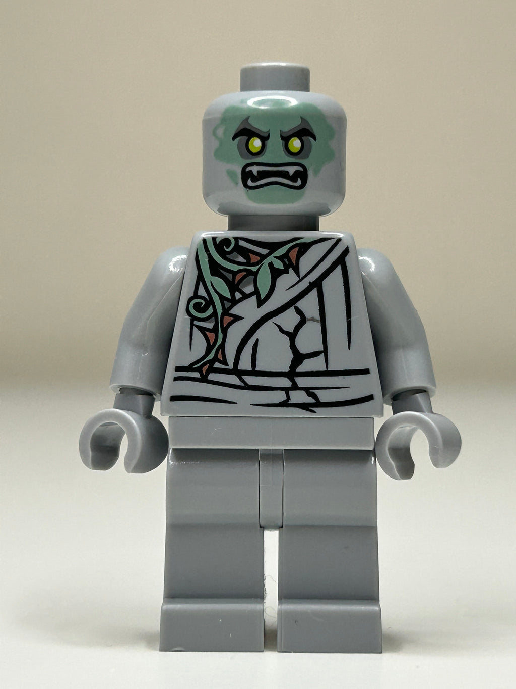 Ghost student