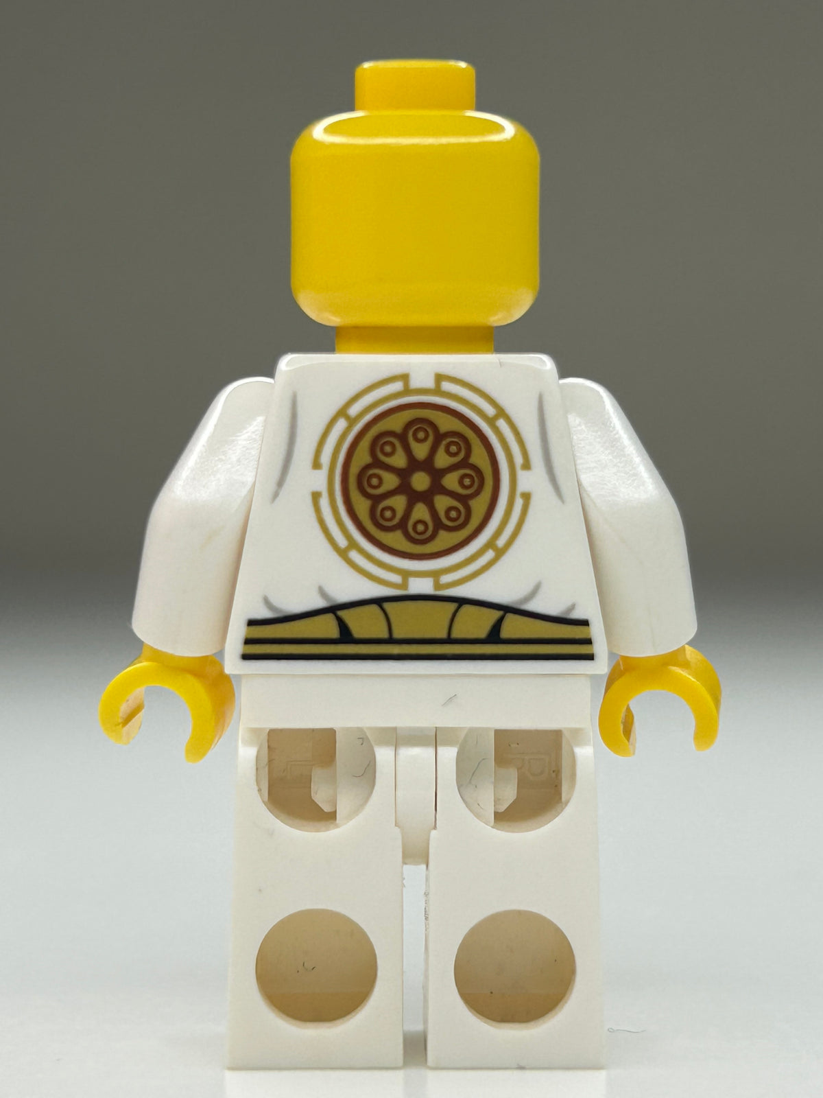 Wu - Gold Trimmed outfit
