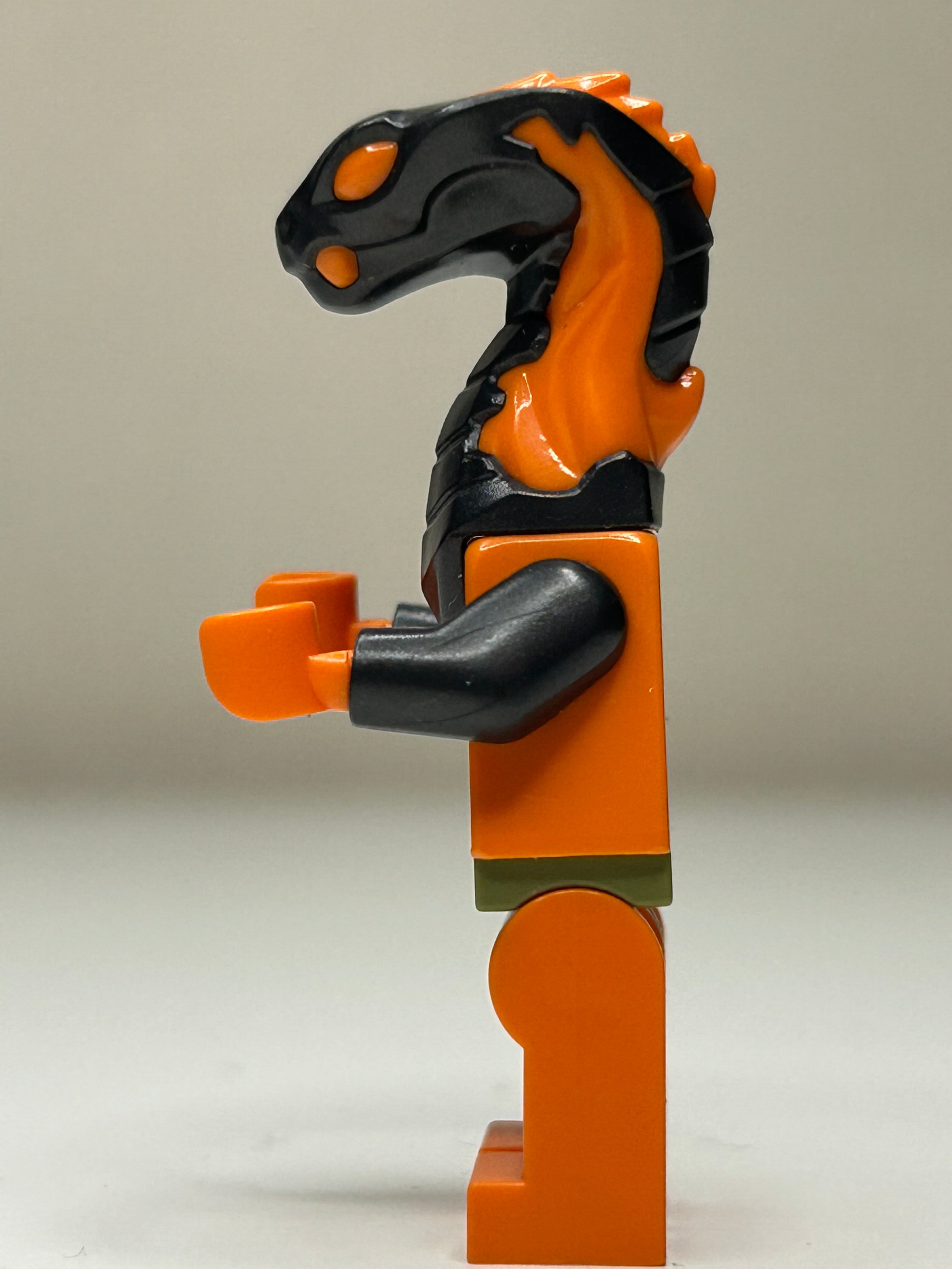 Boa Destructor