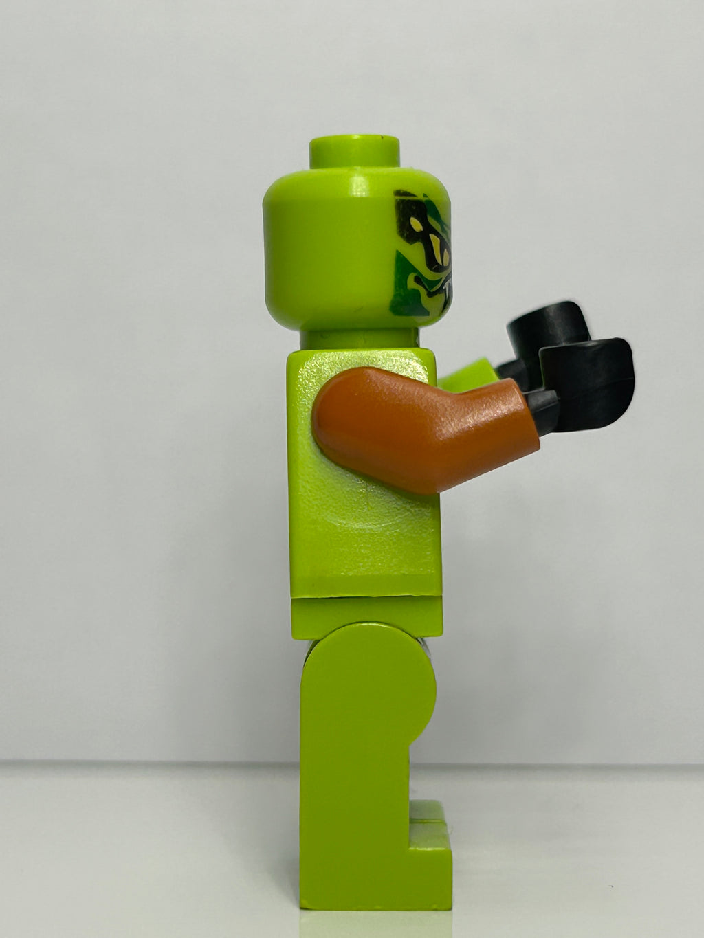 Lasha - snake scout